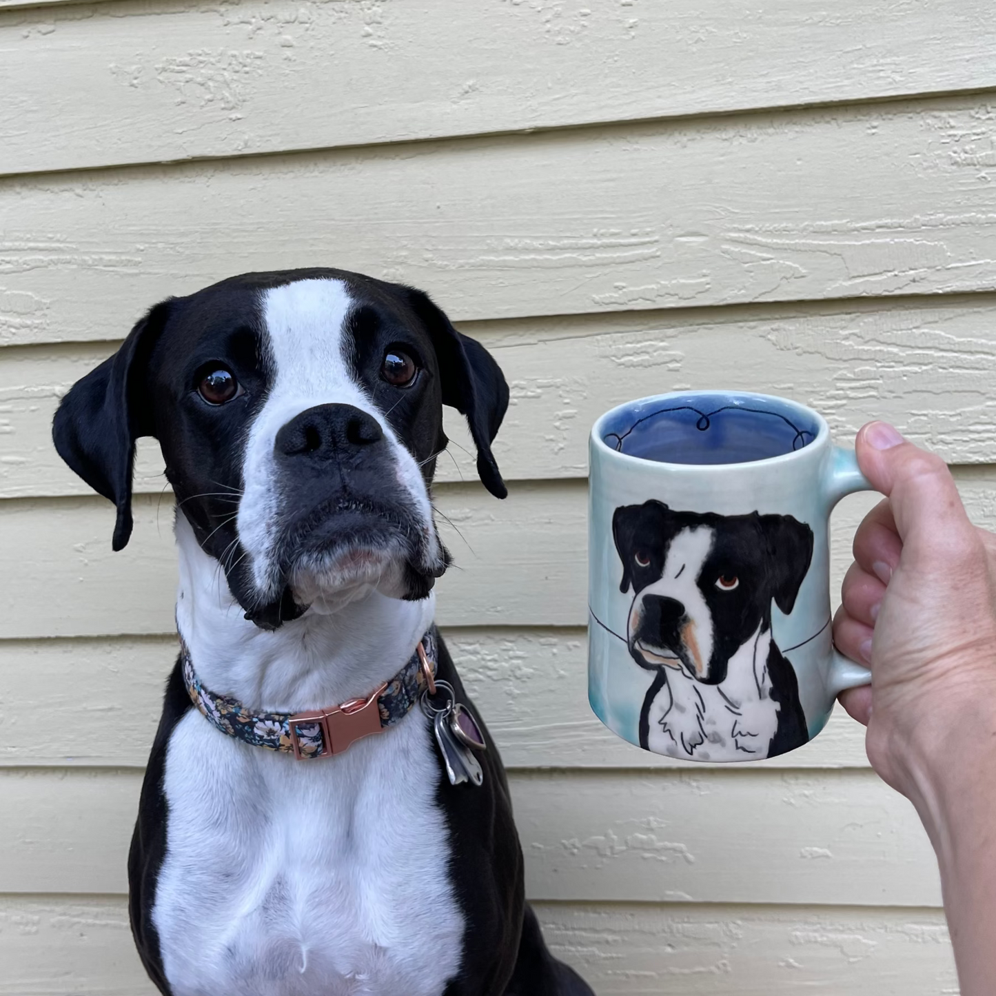 boxer with her custom mug in aqua glaze
