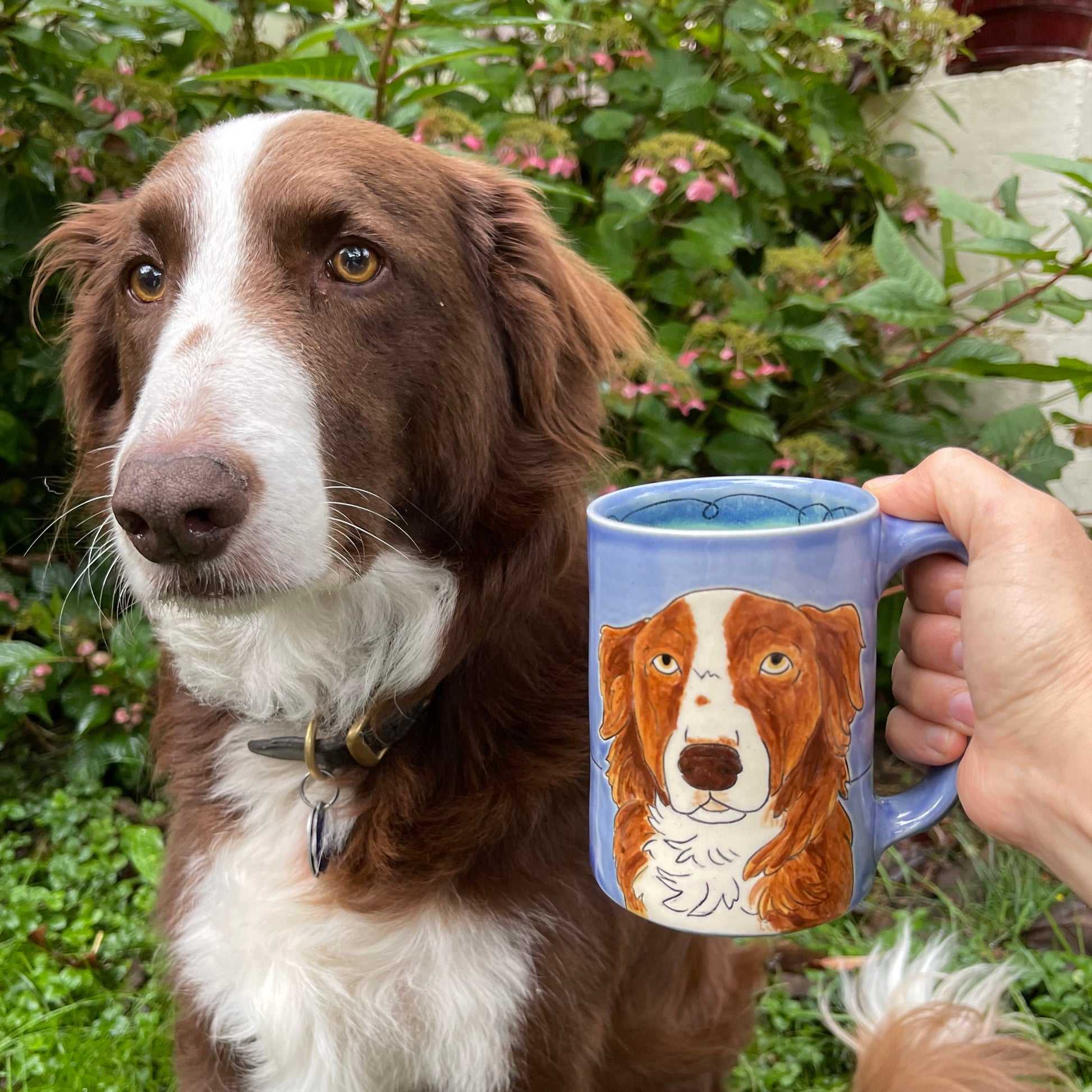 handmade mug with a border collie mutt