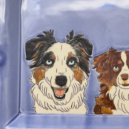 short video of australian shepherd doggos