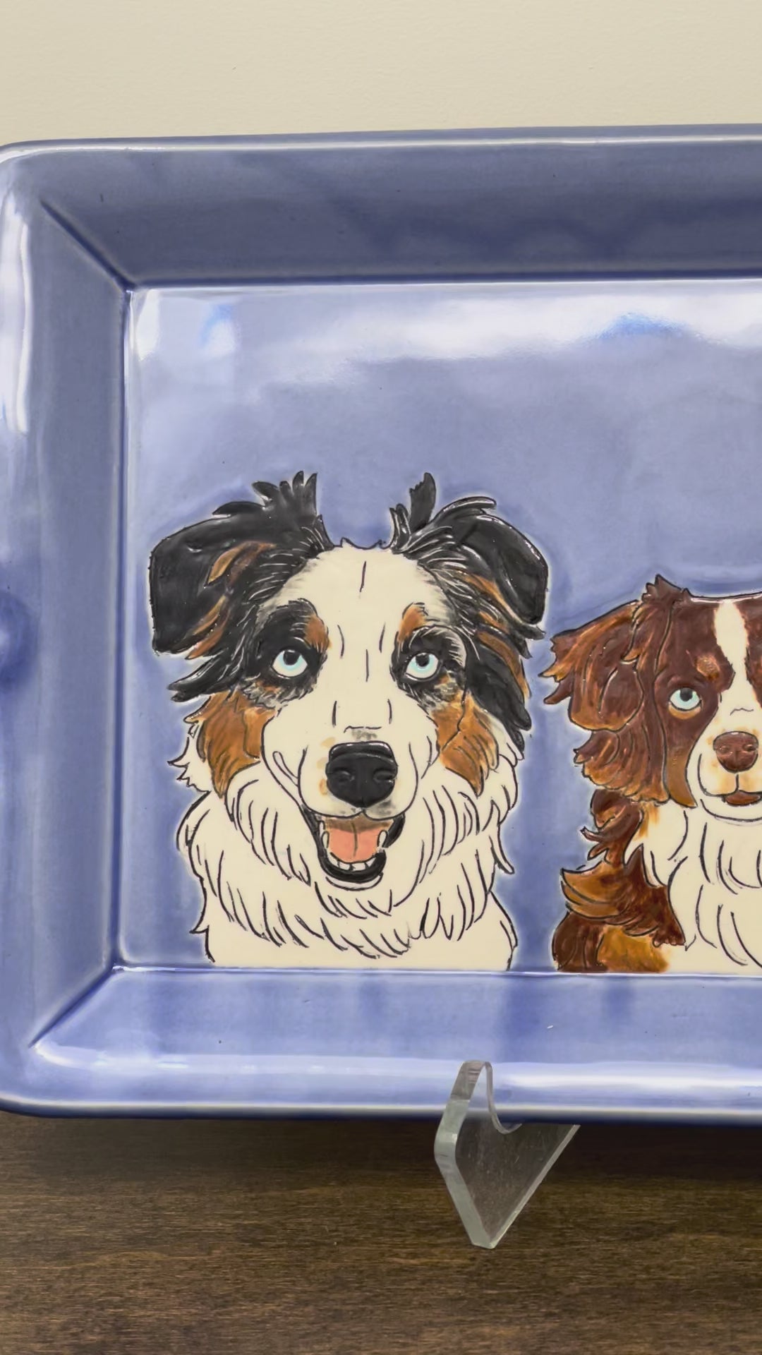 short video of australian shepherd doggos